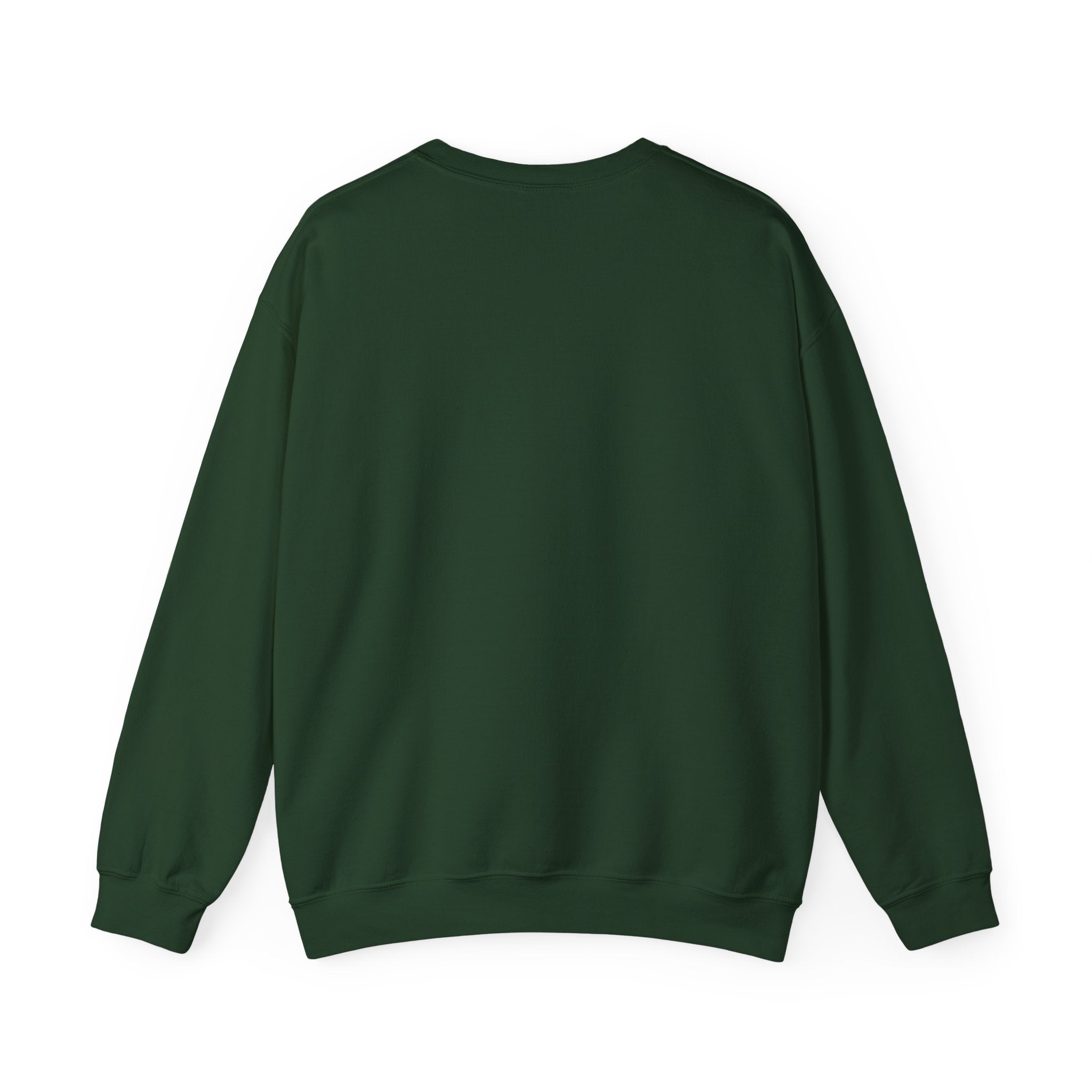 Barquisimeto Landmark Sweatshirt — Retro Cityscape Guayoyo Apparel